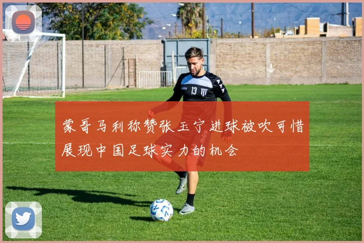 蒙哥马利称赞张玉宁进球被吹可惜展现中国足球实力的机会