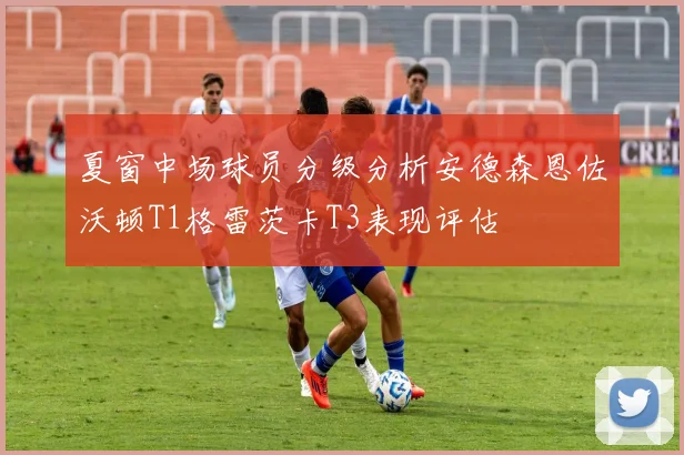 夏窗中场球员分级分析安德森恩佐沃顿T1格雷茨卡T3表现评估