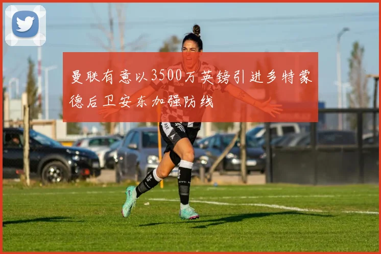 曼联有意以3500万英镑引进多特蒙德后卫安东加强防线